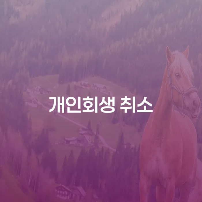 개인파산 개인회생으로 해결 잘 하는 법률사무소