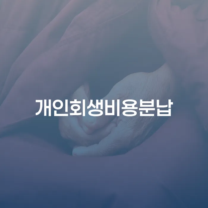 직업군인개인회생 대출 받은 돈채무조정 혼자 고민하지 마세요.