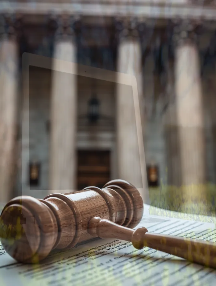 개인회생장기렌트카