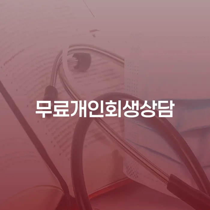 개인채무조회 개인회생으로 방법 잘 하는 사무소