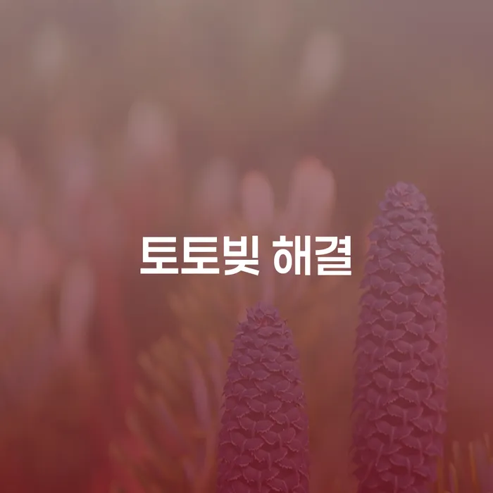 울진군 개인부채 채무 효과적인 해결방법 체크리스트