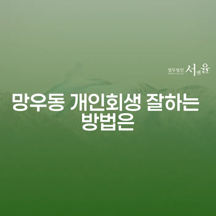 망우동 개인회생 잘하는 방법은