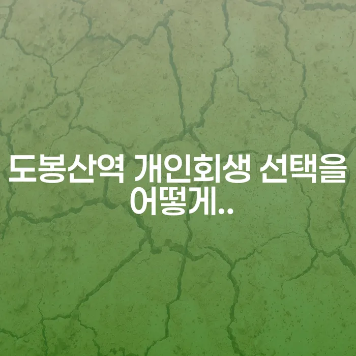 도봉산역 개인회생 선택을 어떻게..