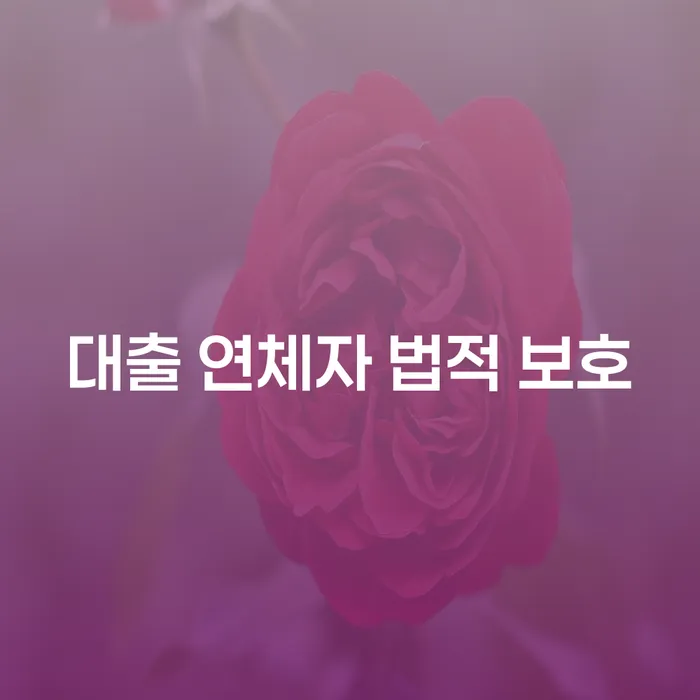 대출 연체자도 법적 보호 받을 수 있을까요?