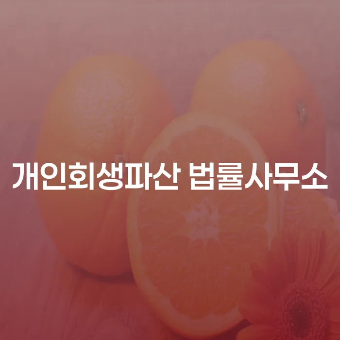 부산진구 개인회생파산 법률사무소의 개인채무 해결 방안