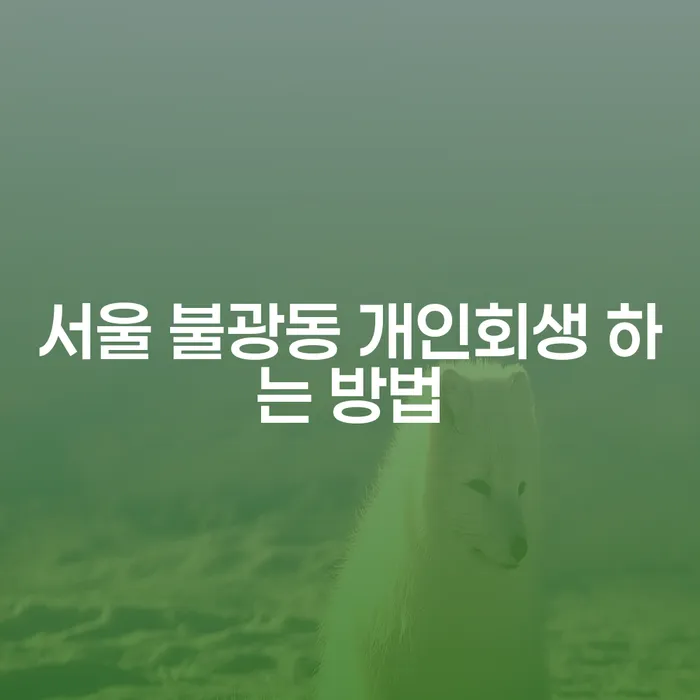 서울 불광동 개인회생 하는 방법, 당신도 할 수 있습니다!