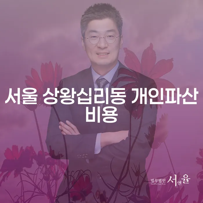 서울 상왕십리동 개인파산비용과 대출 8000만원 개인회생, 어떻게 해결할 수 있을까요?