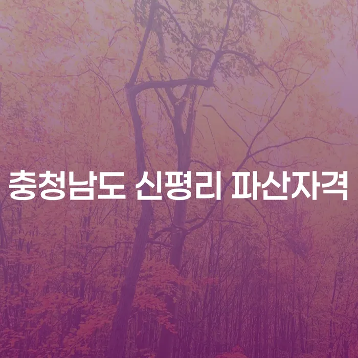 충청남도 신평리에서 파산 자격이 있는지 확인하려면 어떻게 해야 할까요?