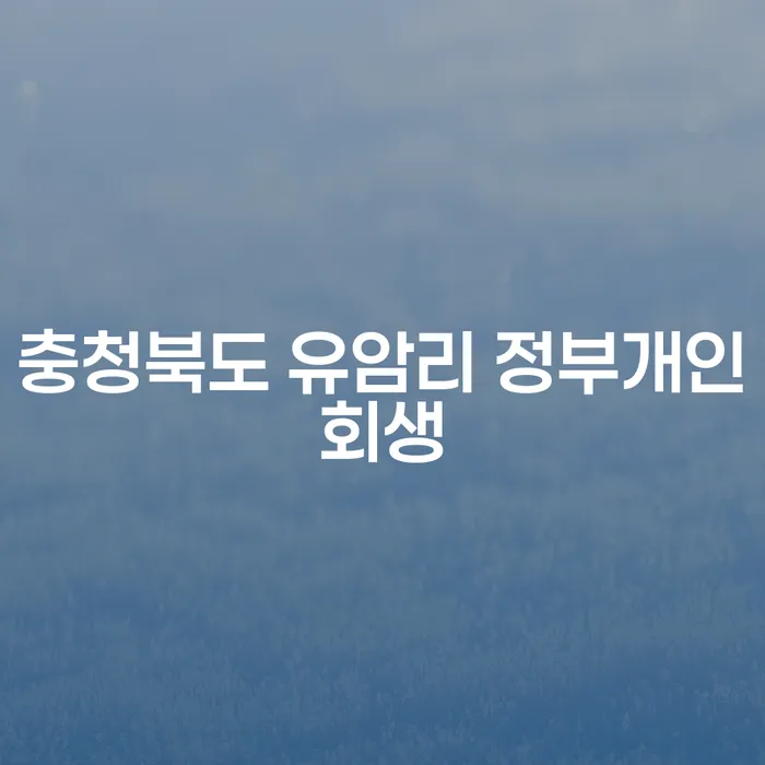 개인회생, 충청북도 유암리에서의 성공적인 이야기와 실질적인 팁은?