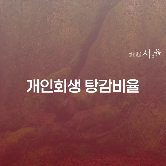 개인회생 탕감비율, 어떻게 결정되며 고흥군 개인회생법무법인을 통해 어떻게 도움을 받을 수 있을까요?